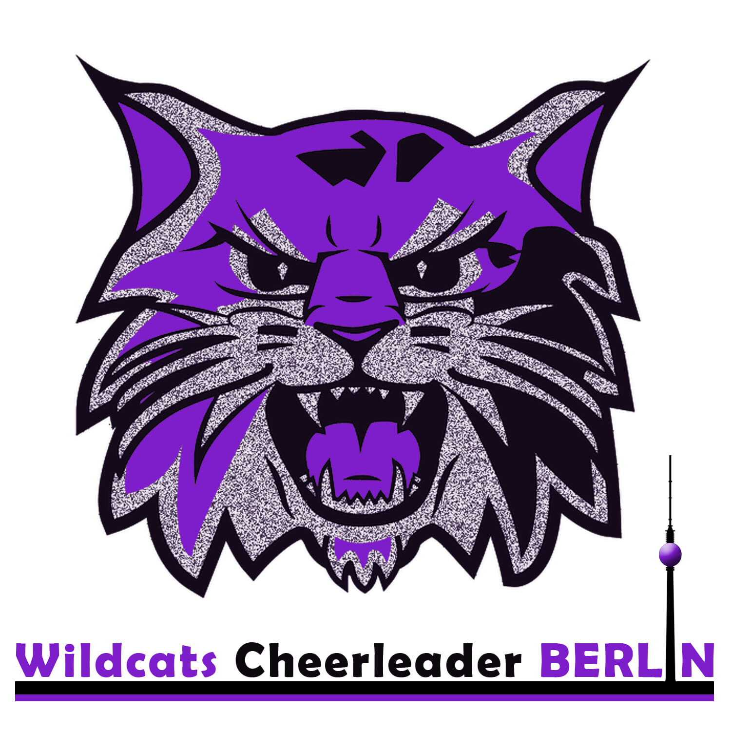 Endlich Online! Die Wildcats Cheerleader Berlin haben ihre neue Website!